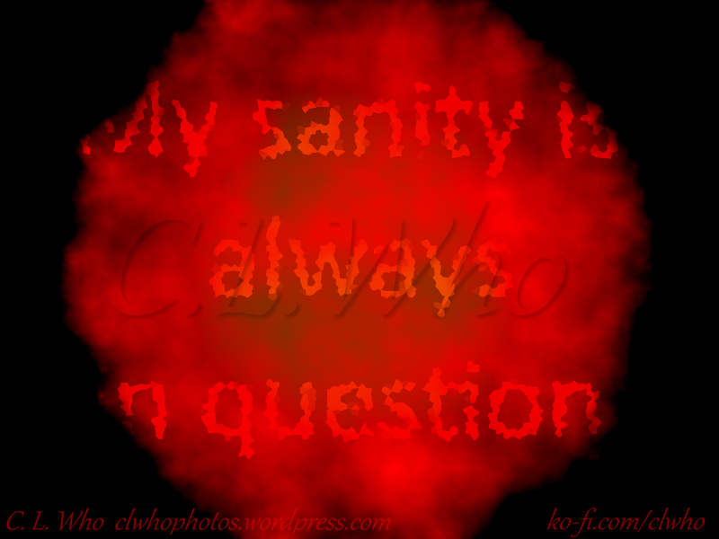 My sanity is always in question